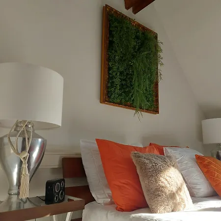 Bed and Breakfast The Rooftop Retreat - By The M House 3*