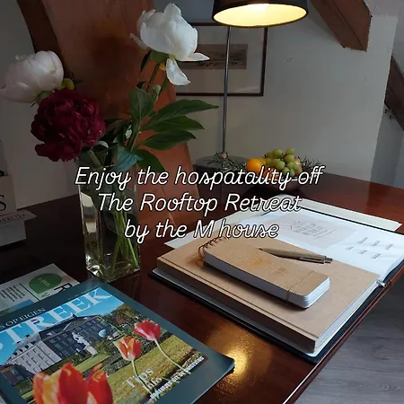住宿加早餐酒店 The Rooftop Retreat - By The M House *